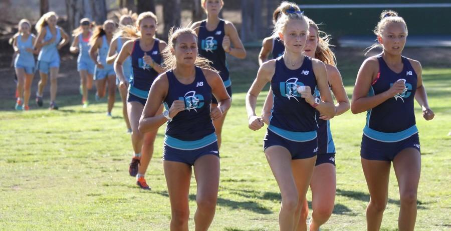 UC High Cross Country Strides to Victory