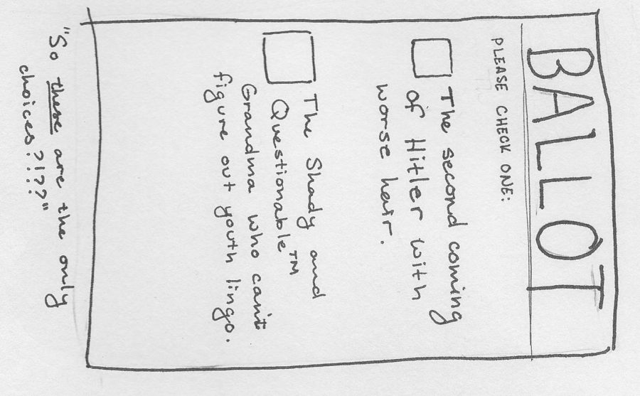 How To Vote When You Don't Like Any Canidates