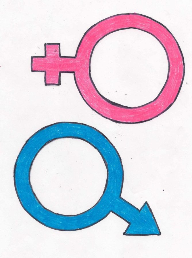 gender