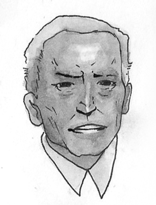 biden art