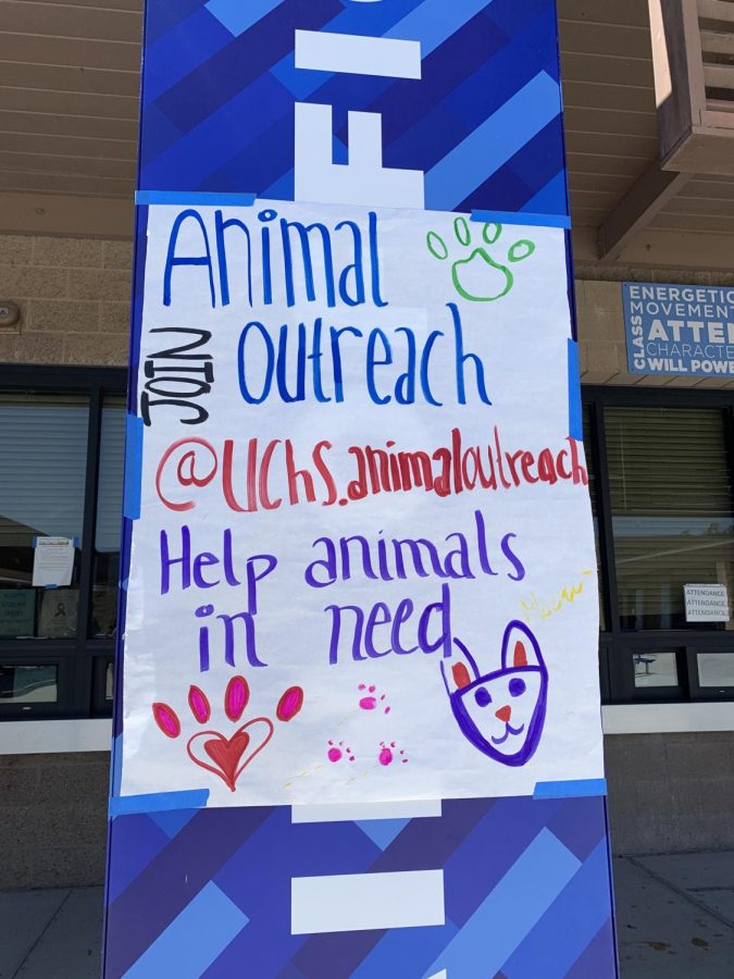 New+Animal+Outreach+Club+Aims+to+Help+Pet+Owners+in+Need
