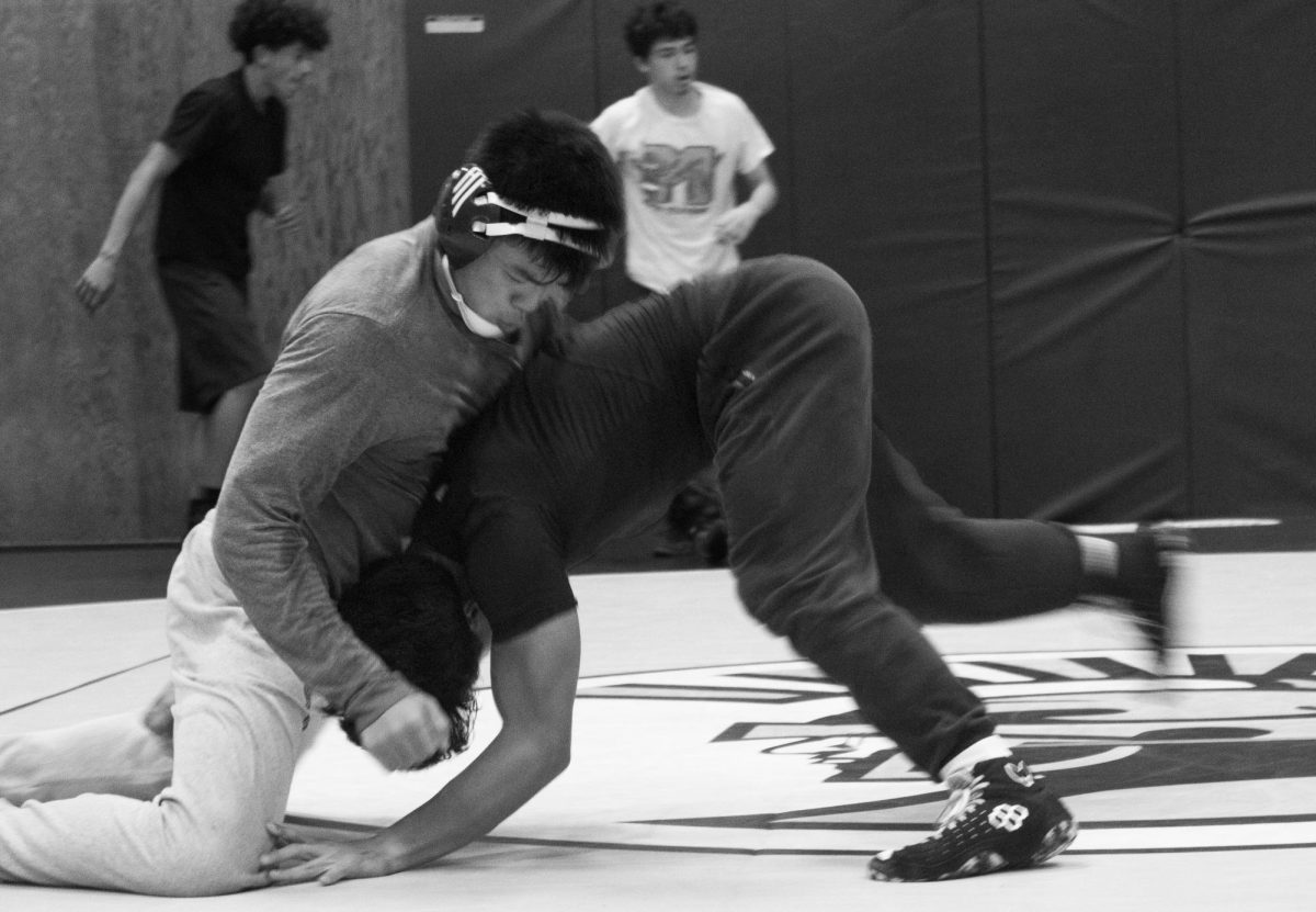 Seniors Alexander Lin and Christian Legler sparring at practice.