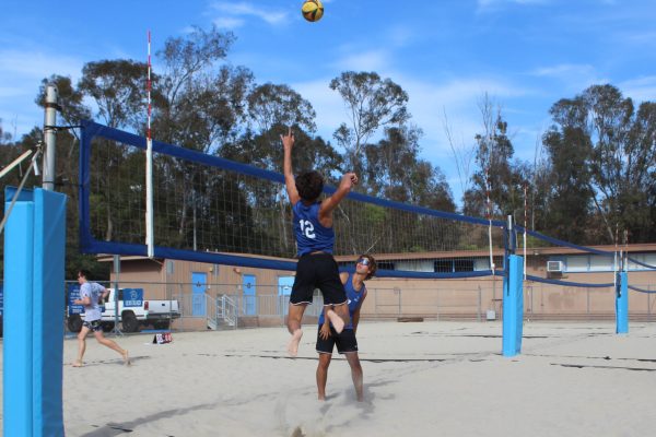Boys Beach Dive into Season With Exciting New Lineup