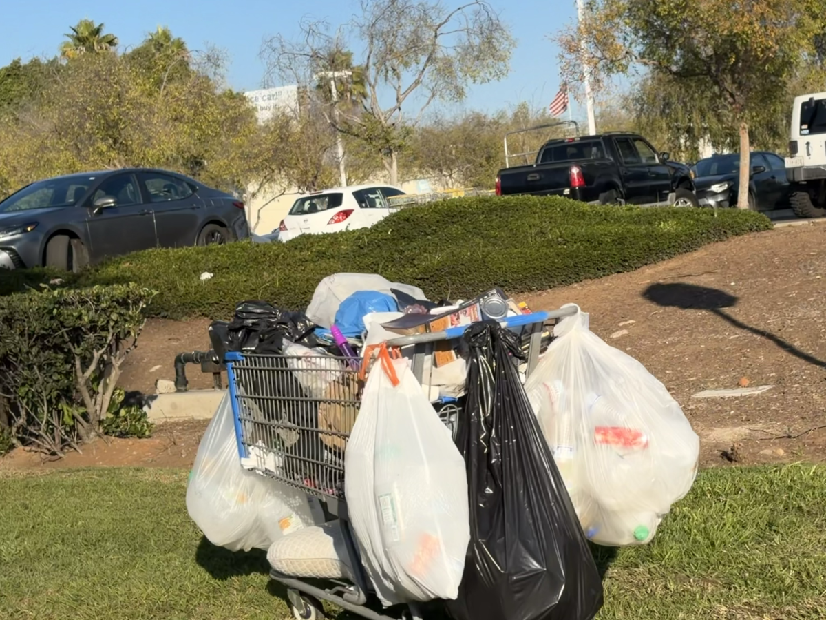Shopping carts belonging to homeless people are spotted near a local Walmart.