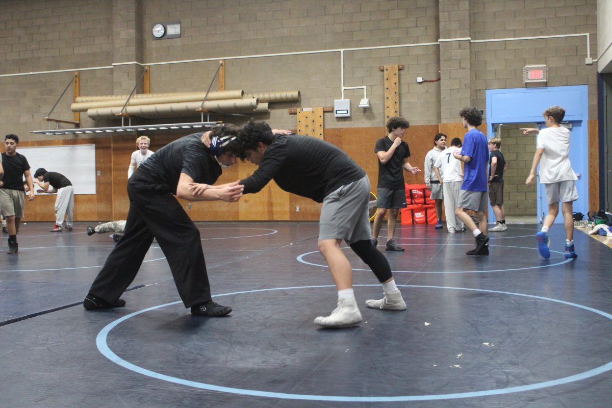 Junior Brian Brown battles Junior Roberto Monge preparing for their next big match.