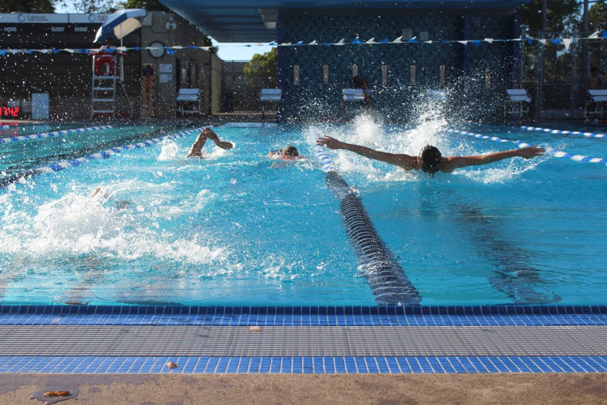 The Swim Team compete in the butterfly stroke at the Standley Aquatic Center.